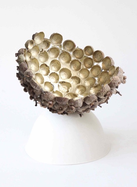 How to make a gilded acorn bowl using found objects while forest bathing