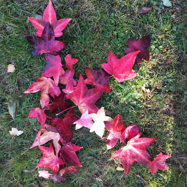 Mindful forest bathing monogram with leaves
