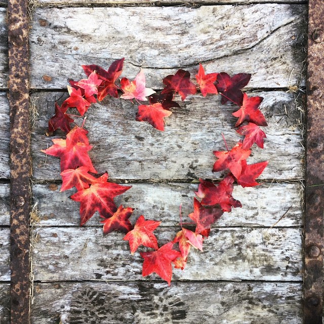 How to make a heart using fall leaves; love letter to the earth